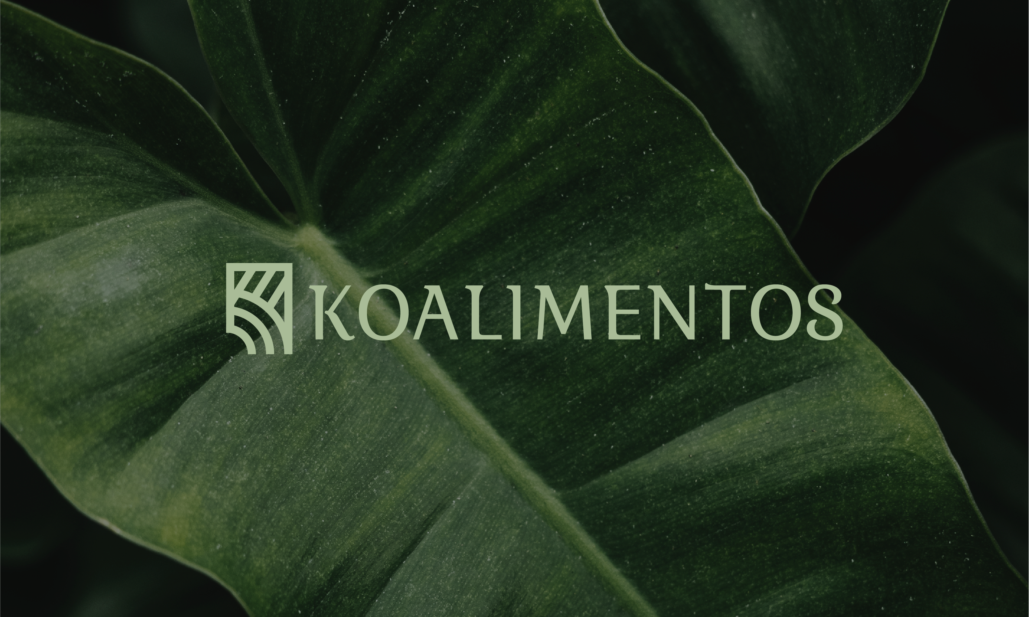 Koalimentos